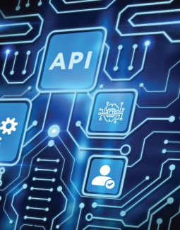 The Role of API Testing in Quality Assurance
