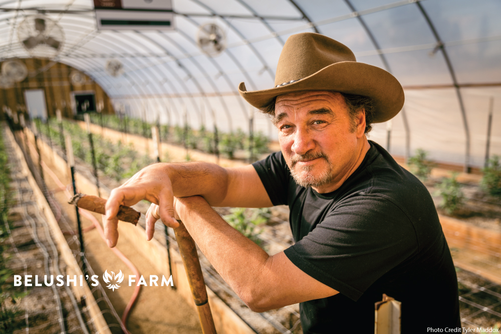 Belushi Farm 2
