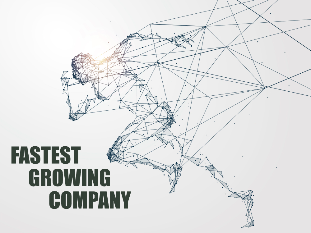 Falcon Wealth Planning