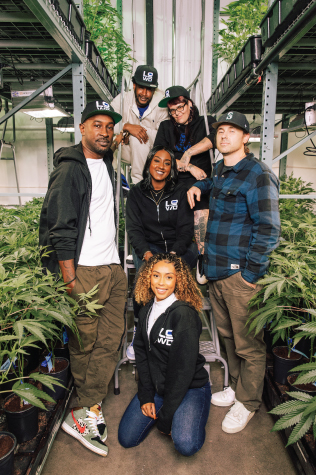 LOWD Team