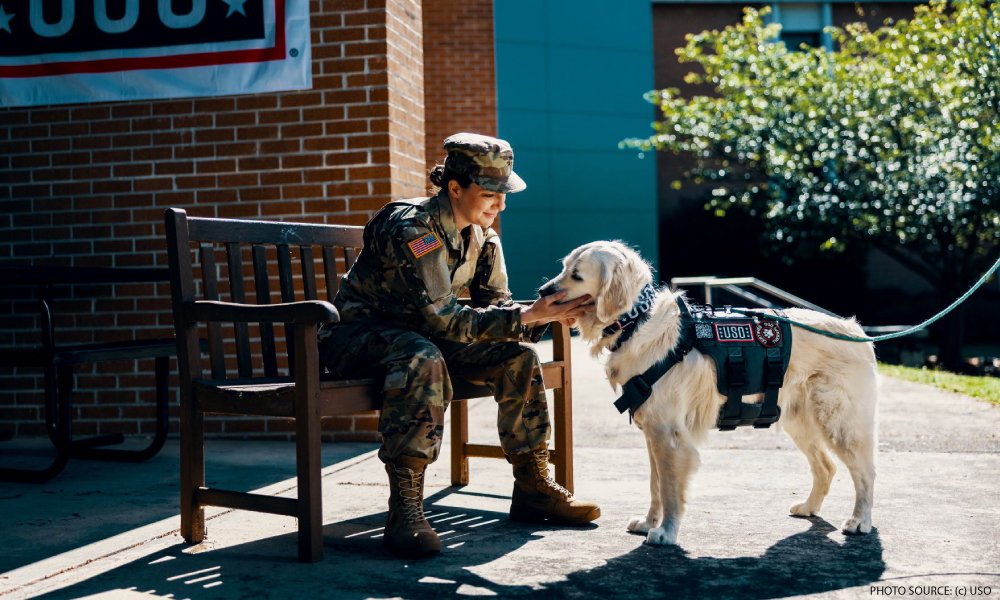 Supports U.S. Military Community